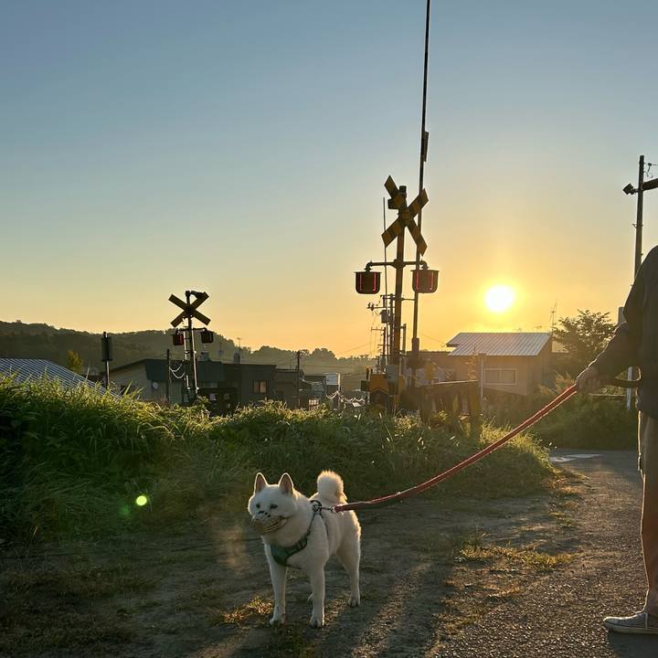 446feaa3 ffef 48fa a7e3 9214a594ff22 1727126551845