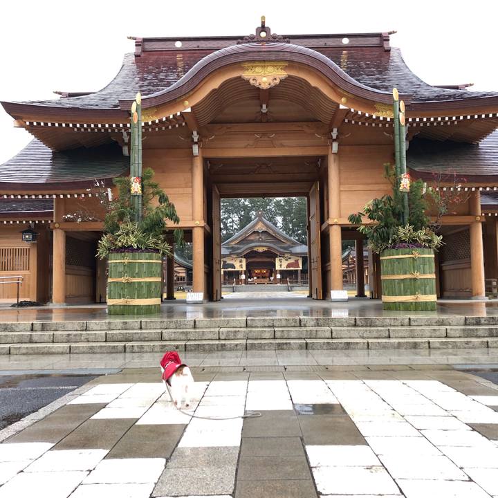 446fec05 ecff 4098 880e 782606d445cf 1609111382172