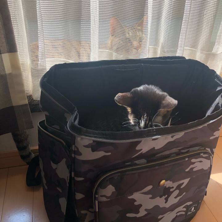 447044c4 b535 4f01 9d51 d365bb1df27b 1569594903068