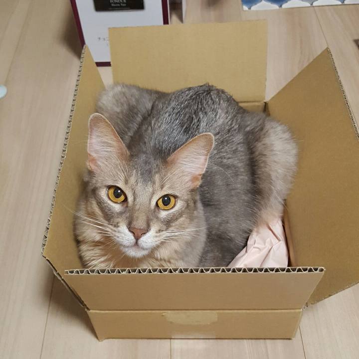 44704d53 466e 4e2f 9806 e28039fdb2b5 1534945721316