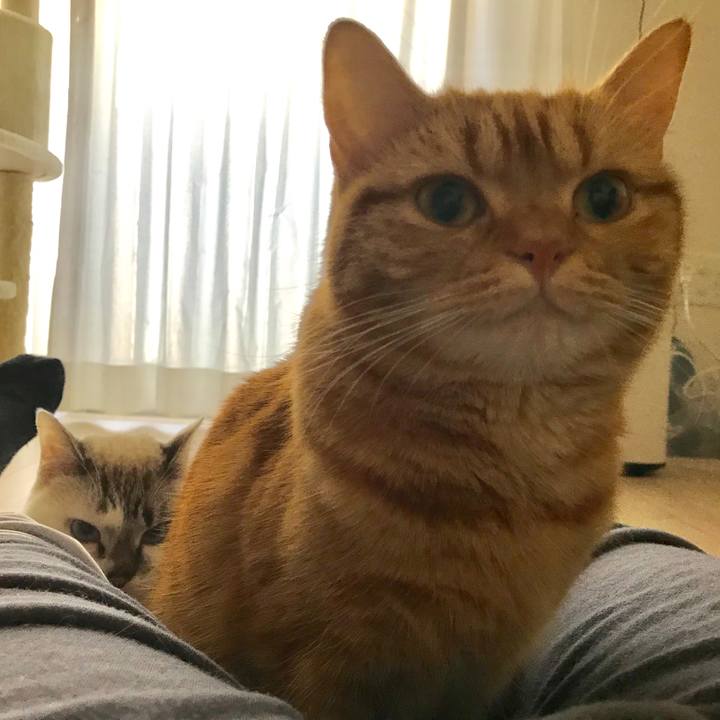 447086ad a266 448b 8d4b 4d283db6f096 1511678461709