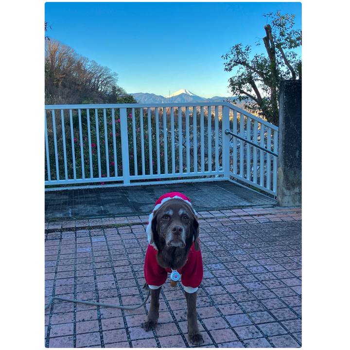 4470e1bf 25ed 4e0e aff3 d505c332579d 1765773144650