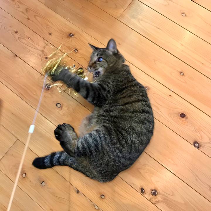 44712c16 09df 46ff befe ac3b1b5291c0 1580435421303