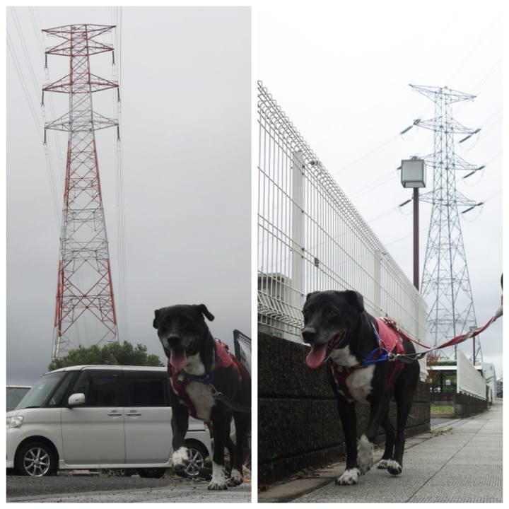 44712ca4 fda6 4642 89a3 4732621e789d 1691888632723