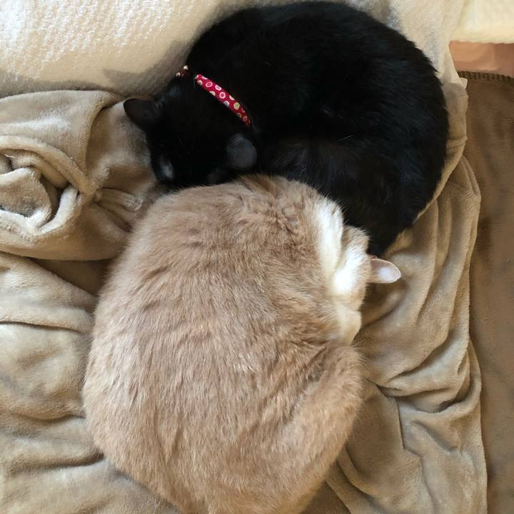 447147fc 9e8d 4ca6 8445 05d19f9cd9d6 1607152924547