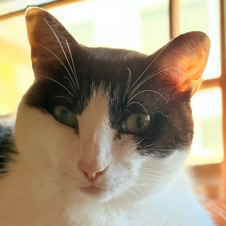 4471747e 3b69 4873 b49b 4cb190bb0ec5 1728698147692