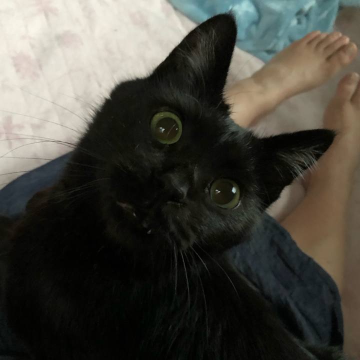 4471b4e2 f420 414f 9a9a f7b061c9bf9d 1562925475421