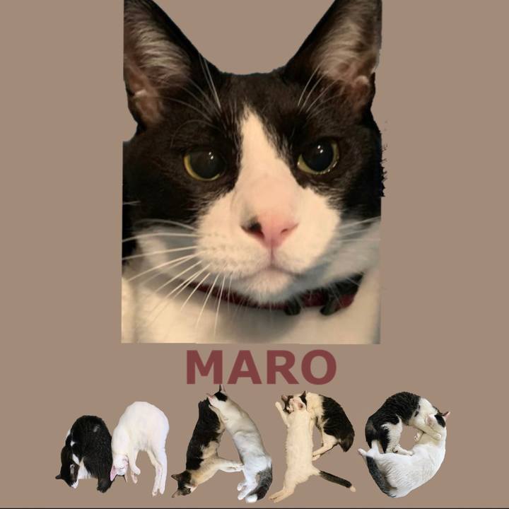 44724d95 1482 4c58 8889 c5099805afb8 1667905100942