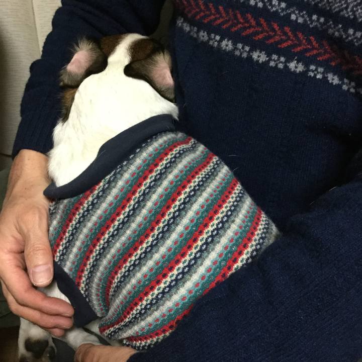 4472ad48 01c3 46e6 bd2a 04164fbeb30c 1546511514696