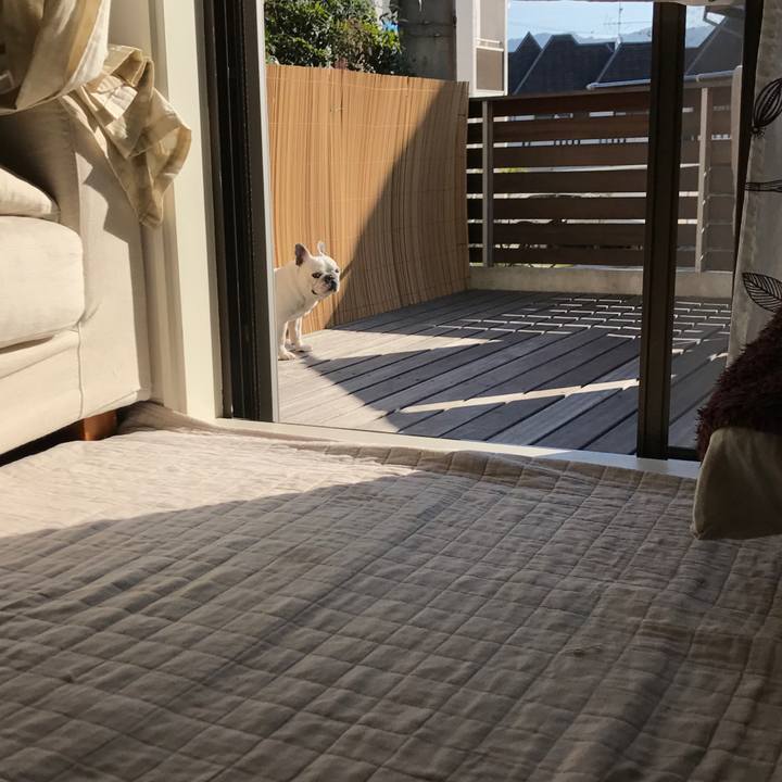 4472b311 88f6 490f 83bb e4ab2a877aa1 1509580935336