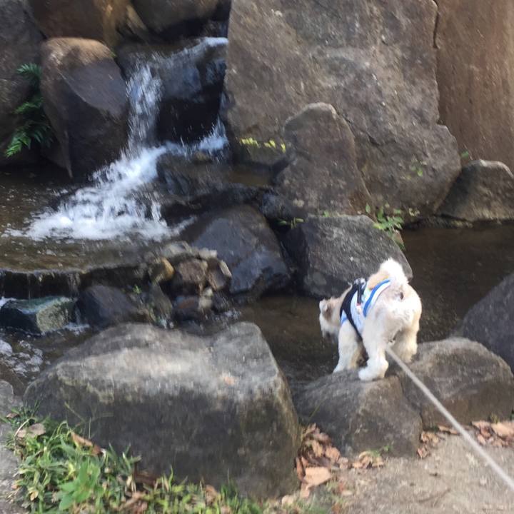 4472bc61 c861 4ac7 afd3 1c2f62ece58c 1540206966516