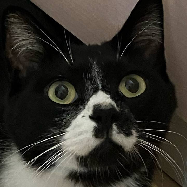 44731a43 9793 438b b268 b9d99f367d74 1665818017408