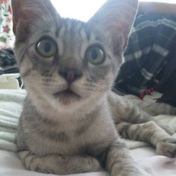 44733ac0 7311 4595 9aac 3bb020fc5fd2 1535179148365