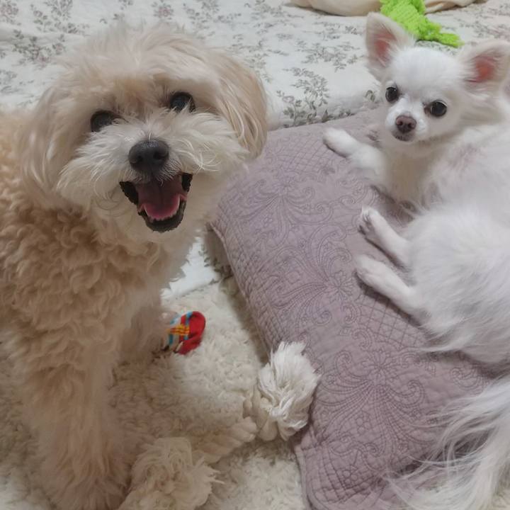 4473782c 821f 42bd a05c 0cca515917ae 1591357436555