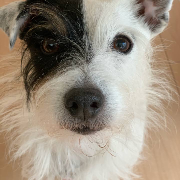 447382c7 66a9 4e08 9163 edcf20f56914 1637360386010