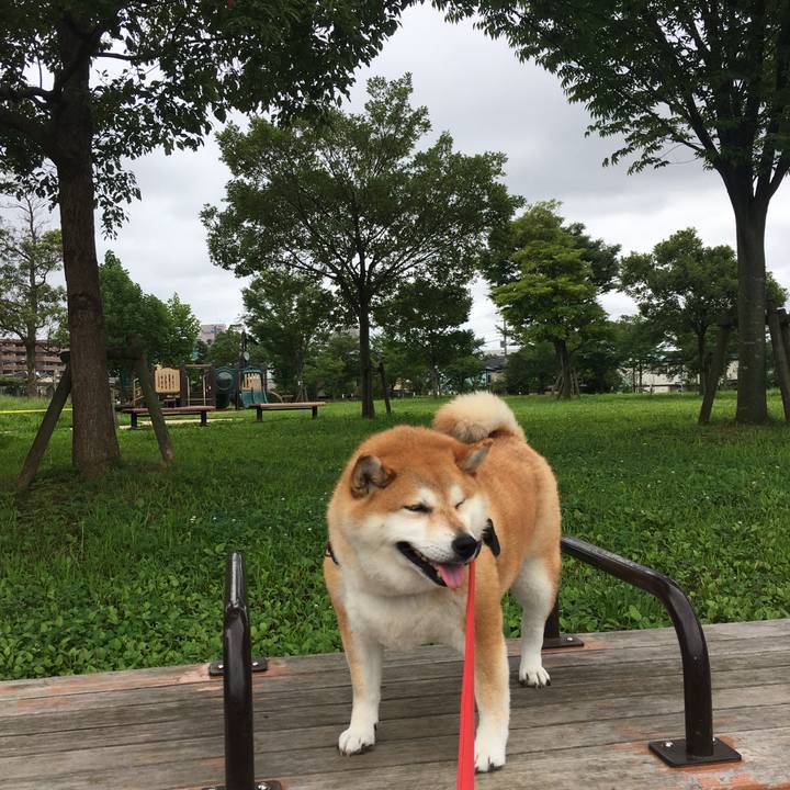 4473b3b5 5463 4311 ba2c f71eb84910a7 1595997854229