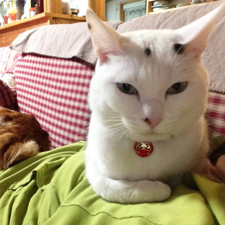 4473cee3 c14d 4b9f be32 066ad0c2ecf2 1689290900930