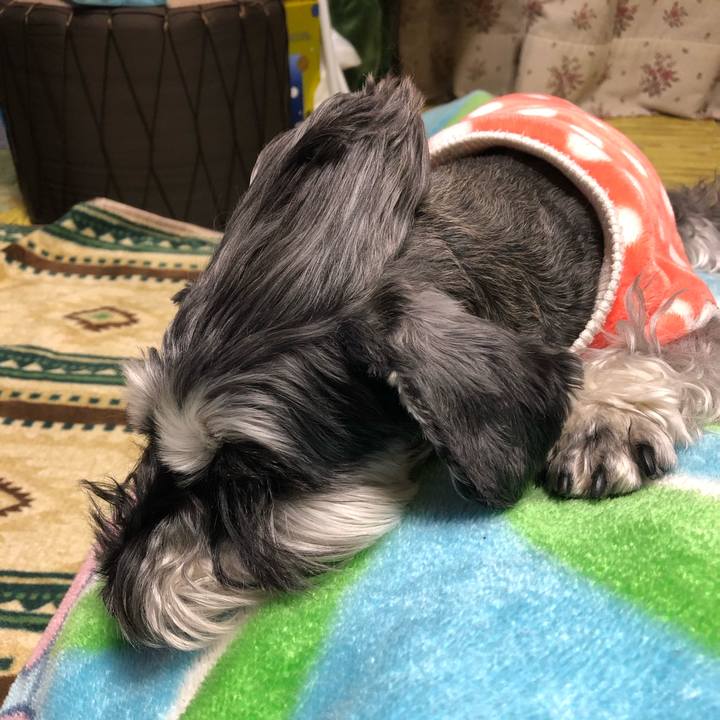 4473e926 f4ed 4422 bcb2 4029d9c8378e 1680099559996