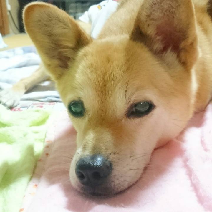 447401fa 4c9d 49d8 8b80 fe1fb01610ce 1572094141443