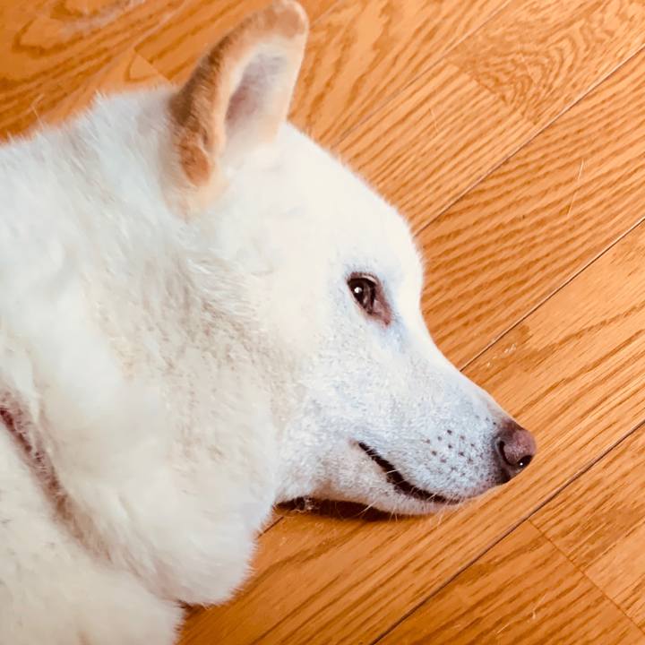 4474219b e003 48a1 8832 71413f5c4b2a 1593637481343