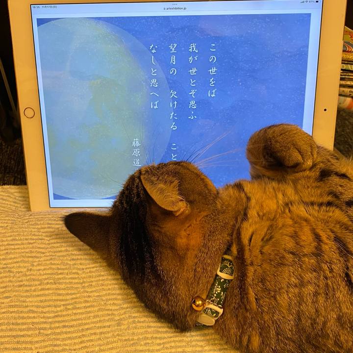 447439b9 42d0 40af b0b1 ea781976efdb 1731836444362