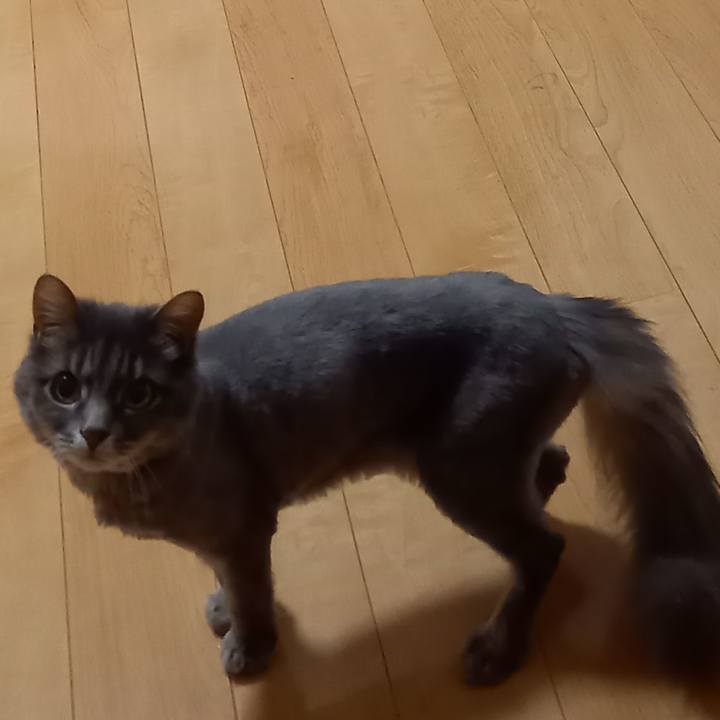 44744627 43d1 4ca6 a0a6 69f036e2ef46 1653222857899