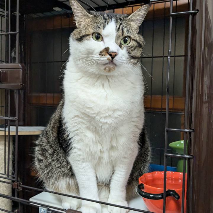 4474557f 63e1 4b69 b6b4 5d1fd29e0808 1729340967845