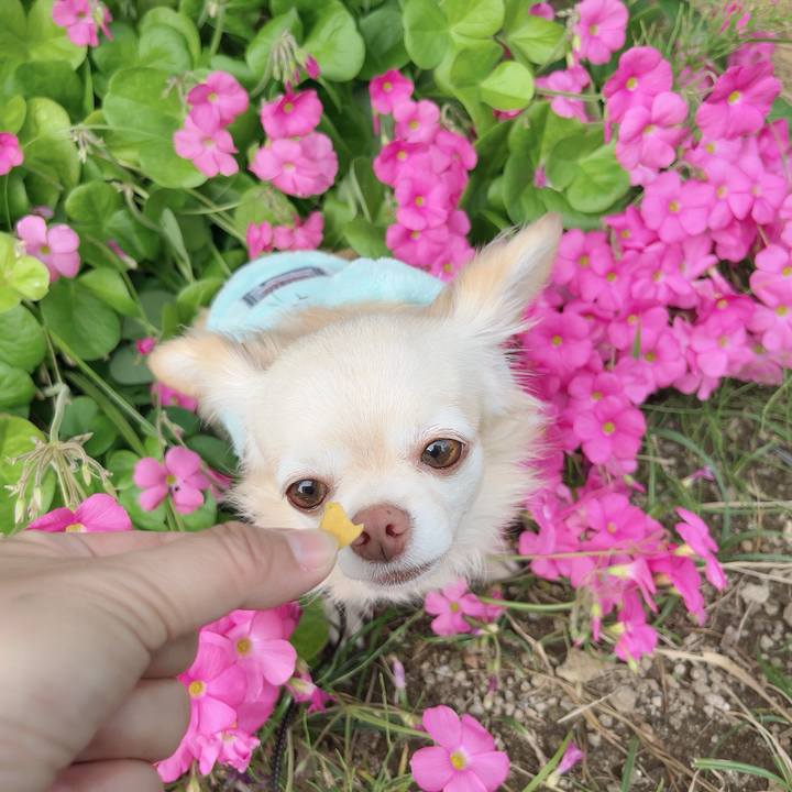 4474a697 4b26 456b b271 ed062ec3d1cd 1731321521208