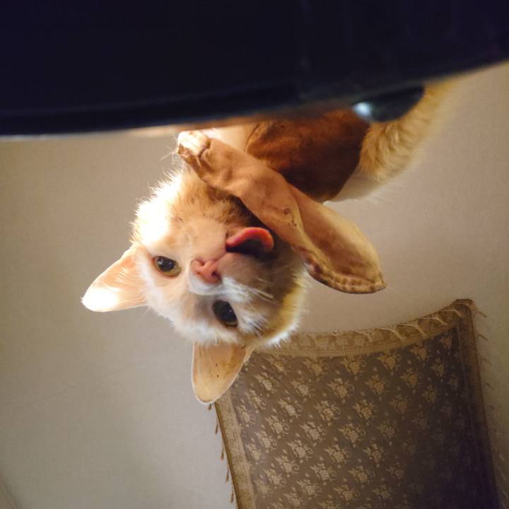 4474d183 a56f 4548 b38f 4c54af5bd548 1763724923437