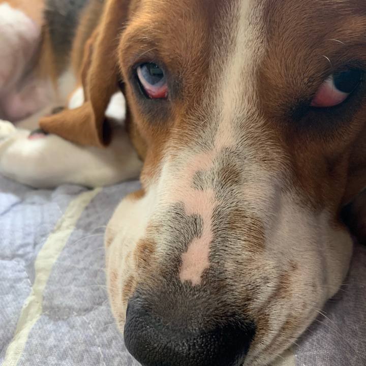 4474f97b eb94 4f80 8366 c1a74e3a5967 1564197837398