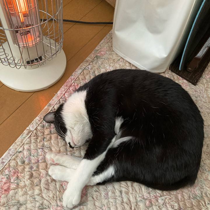 4475024b d9e3 452d 91a0 2afaa3f93589 1708673618311