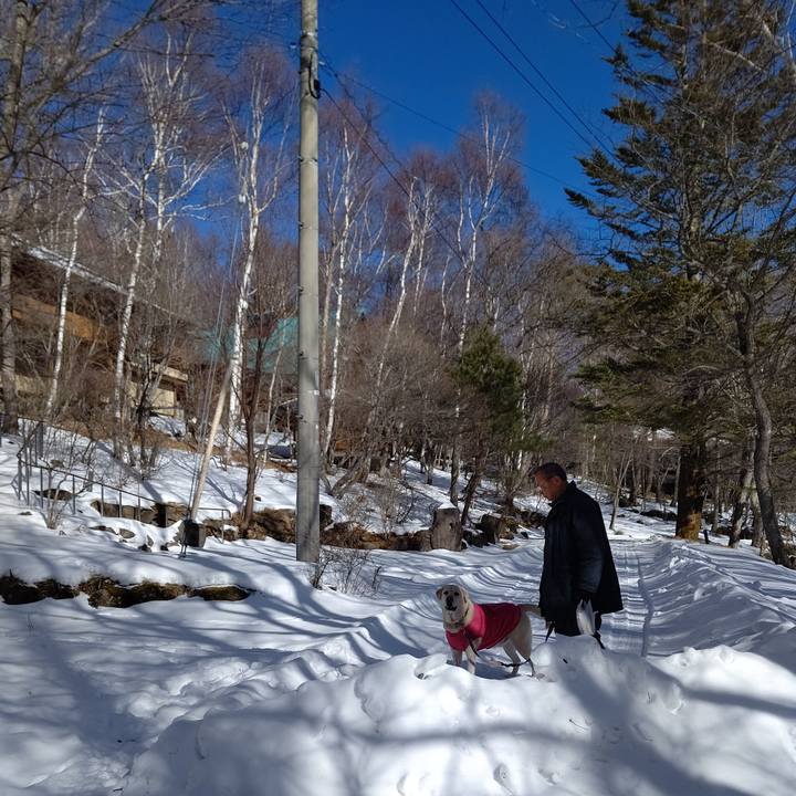 44755845 3915 4b15 9fff e1f5654d493f 1673497612791