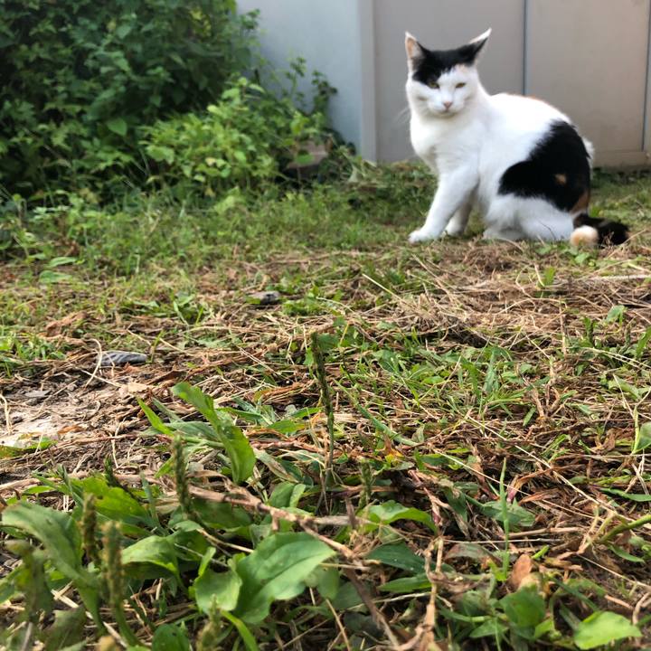 44758dce 7cd7 496d b553 71bcc12ab1fa 1601417721388