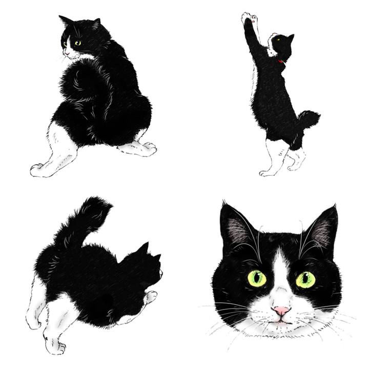 4475ad7f 7ccf 4c7a a471 c181c1da59a2 1602165829363