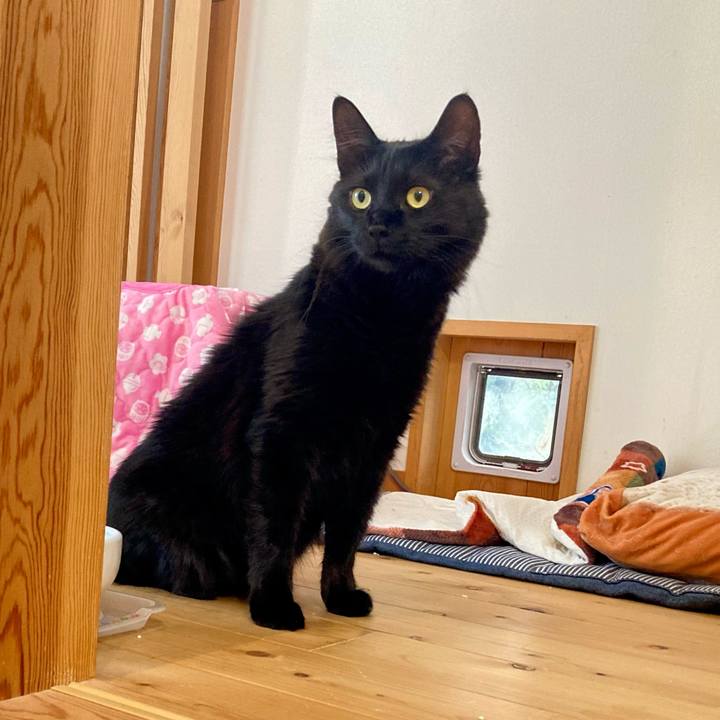 4475ae27 4f69 4b05 94a9 2208e3699bb2 1734063287183