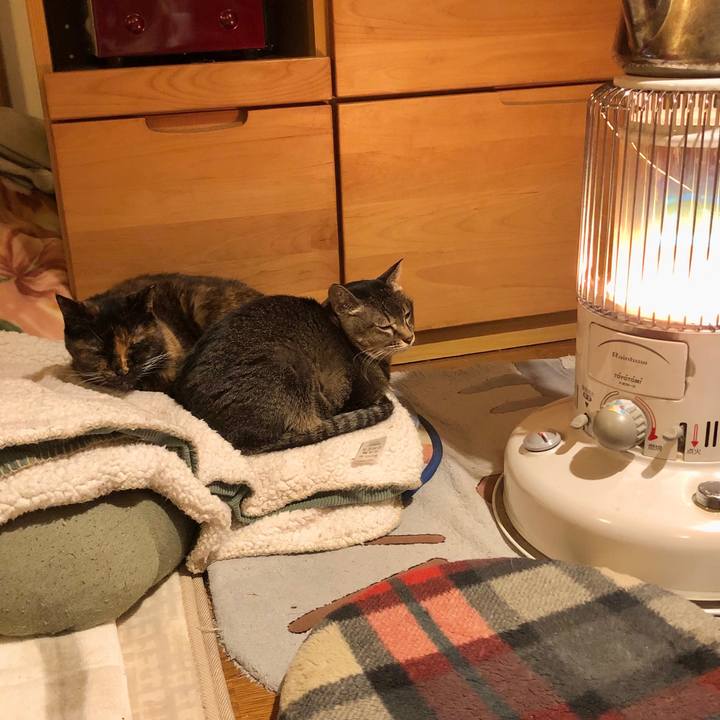 4475b284 84fd 40ce 9756 bf1e30a4d5e0 1734485059157