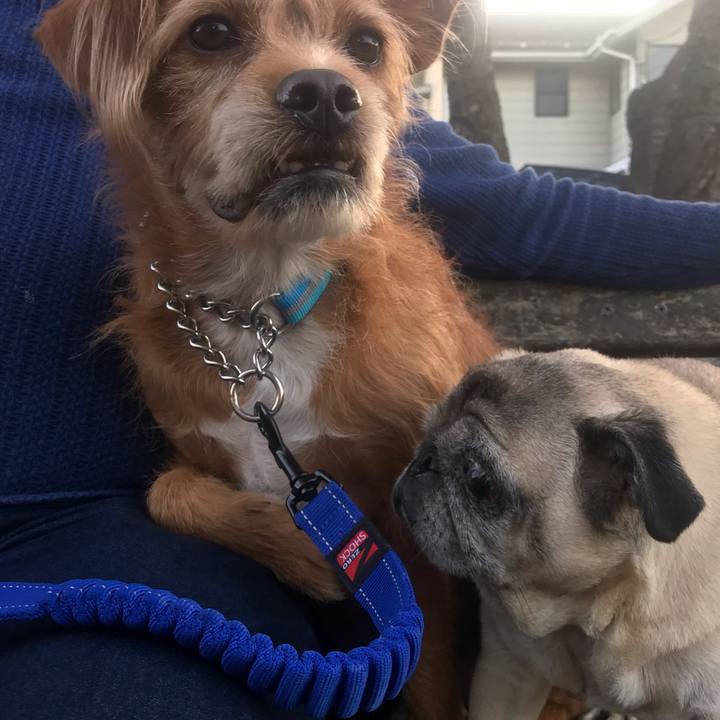 4475df50 30da 4205 8f39 51da6aed253d 1604540736402