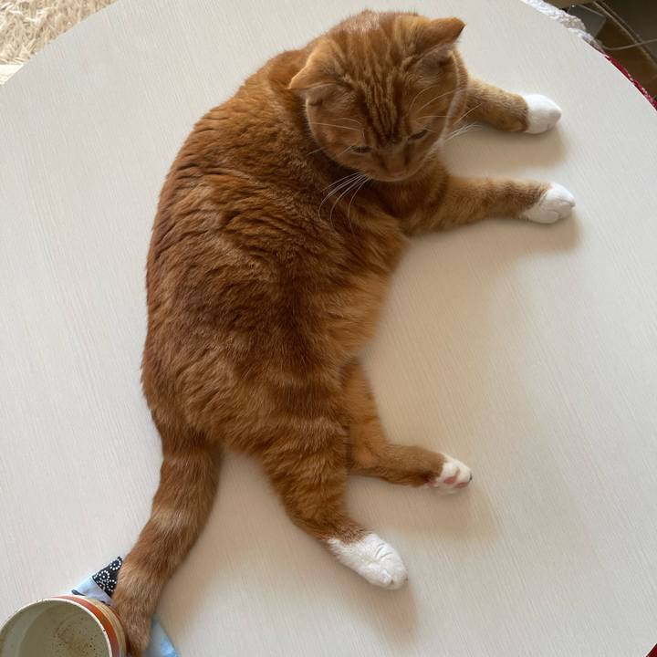 4475e67d b176 4049 bd1d 04e8261992ac 1665884947879