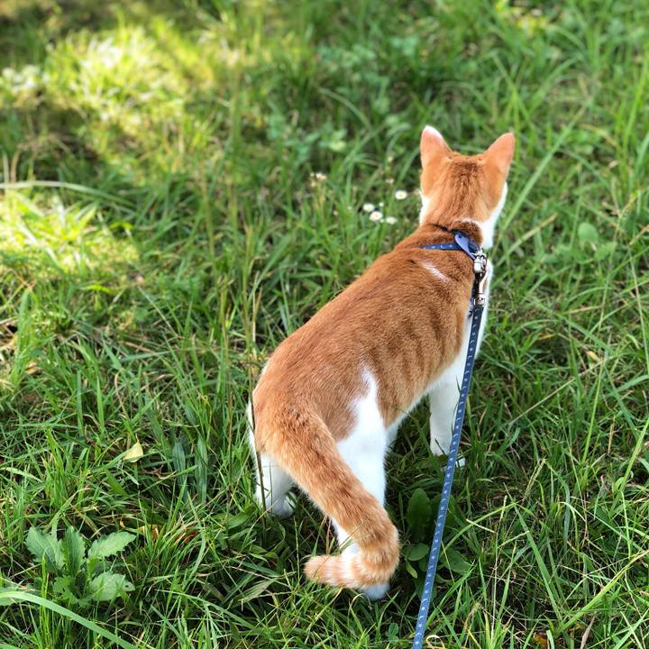 44765010 5ded 4799 8931 226beef6d43b 1538808362091