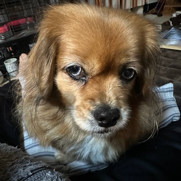 44766710 6aae 42d5 b62c a4c5114ee2cf 1738617040103