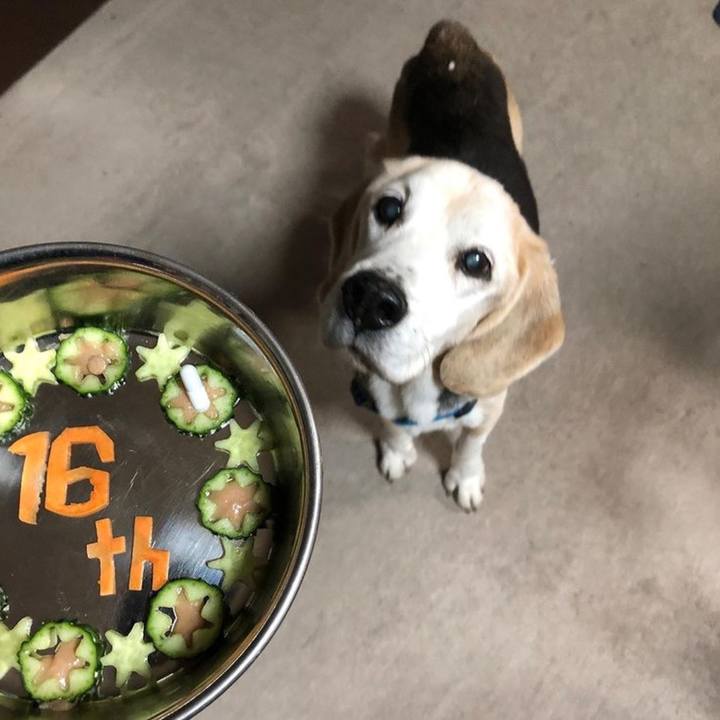 4476735e 5e7f 4f64 8fc2 4a372779c962 1617546857716