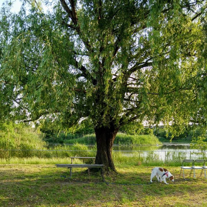 447673fa 7323 4e9a befa 28cd114cc8fb 1558698318499