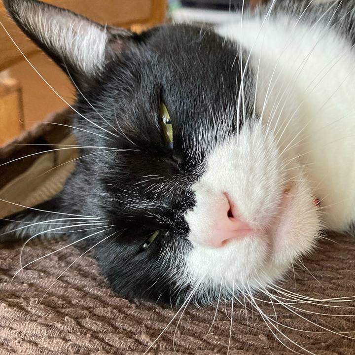 4476b351 5b23 4931 ac1d 74fc0ae440c7 1656385973236