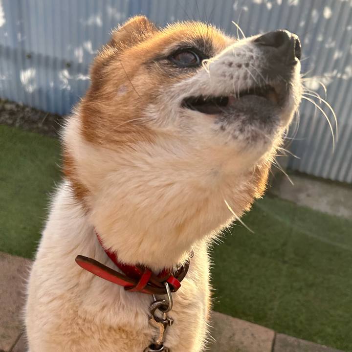 4476c3d7 6d75 4848 b855 bc3673bba317 1761256958871