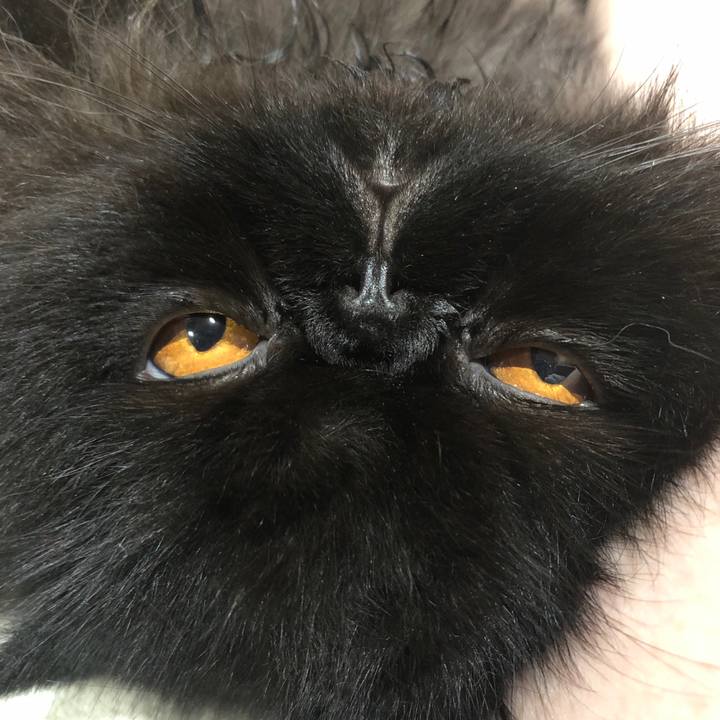 4476d0f6 33bc 4513 b468 7d6307fc9af4 1631970848728