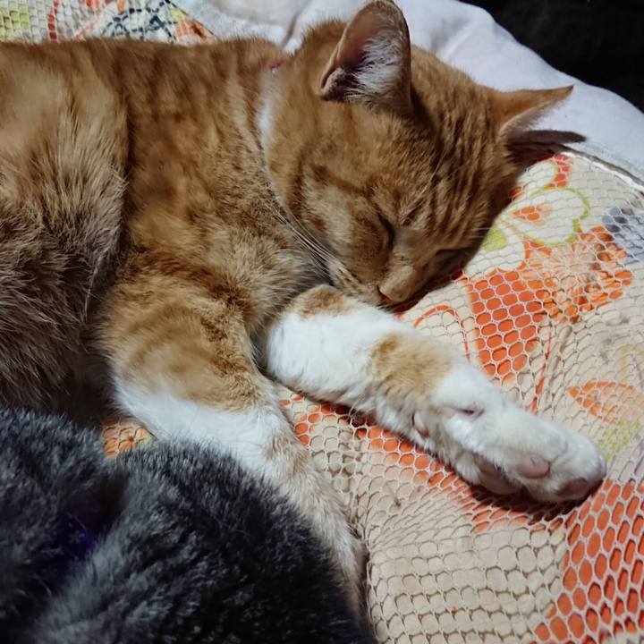 44774d33 0efa 4fe5 a68f 090caefaf16a 1578059242228