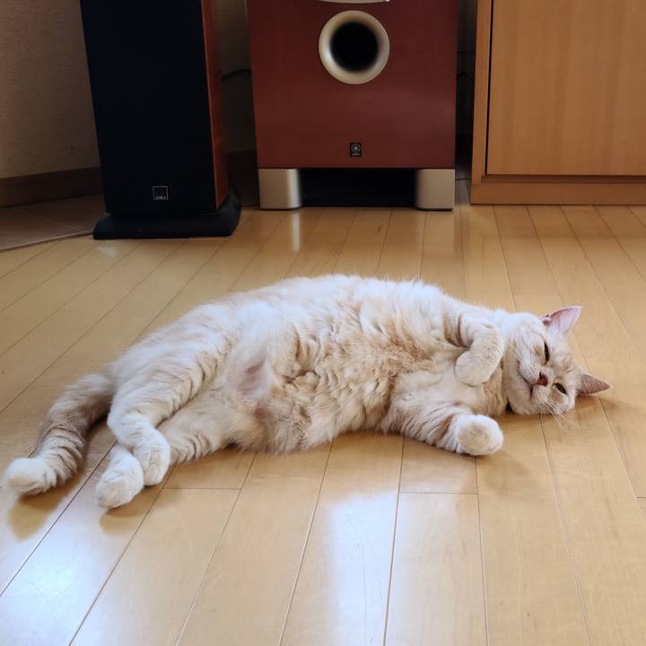 4477acac 4f5c 4c7d bdec 94115d867737 1626016116948