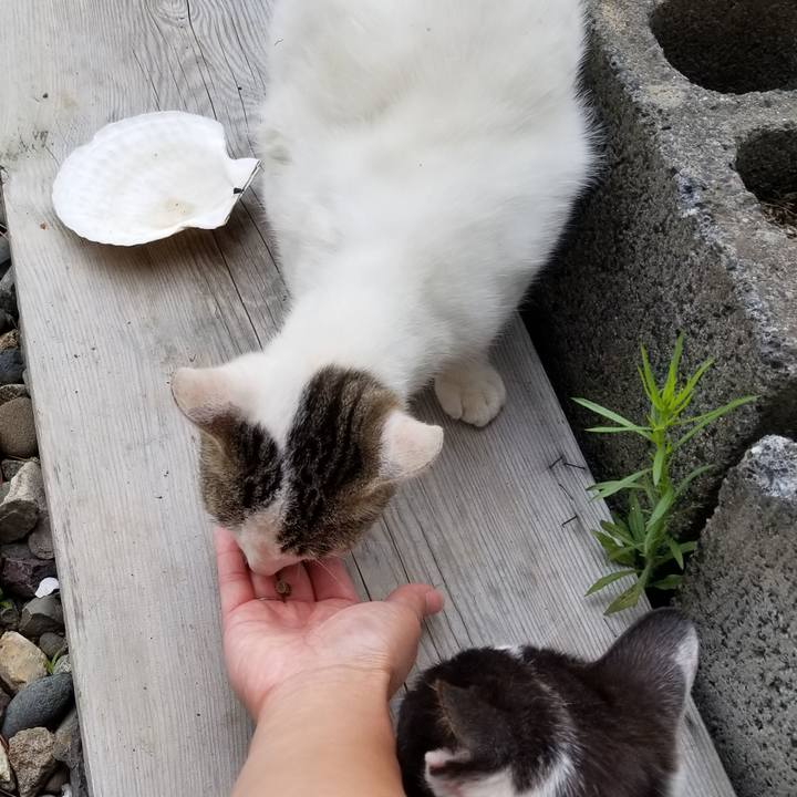 4477d1ae 2cbe 4714 9c02 6afb1bc4004a 1562160309589