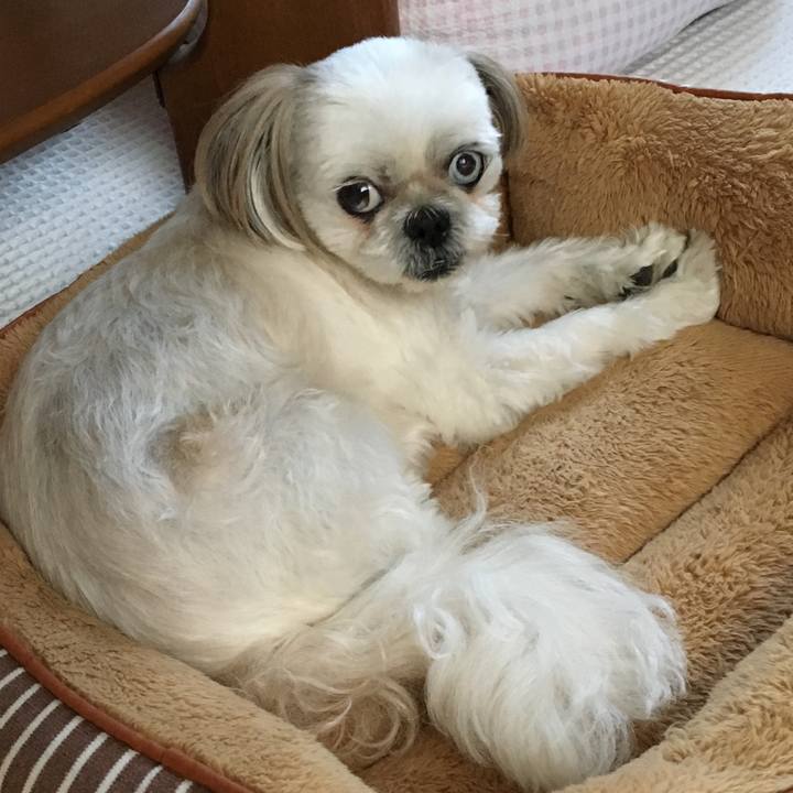 447808fd 8c9b 4642 bee3 1ce71bcec3d9 1538906257607