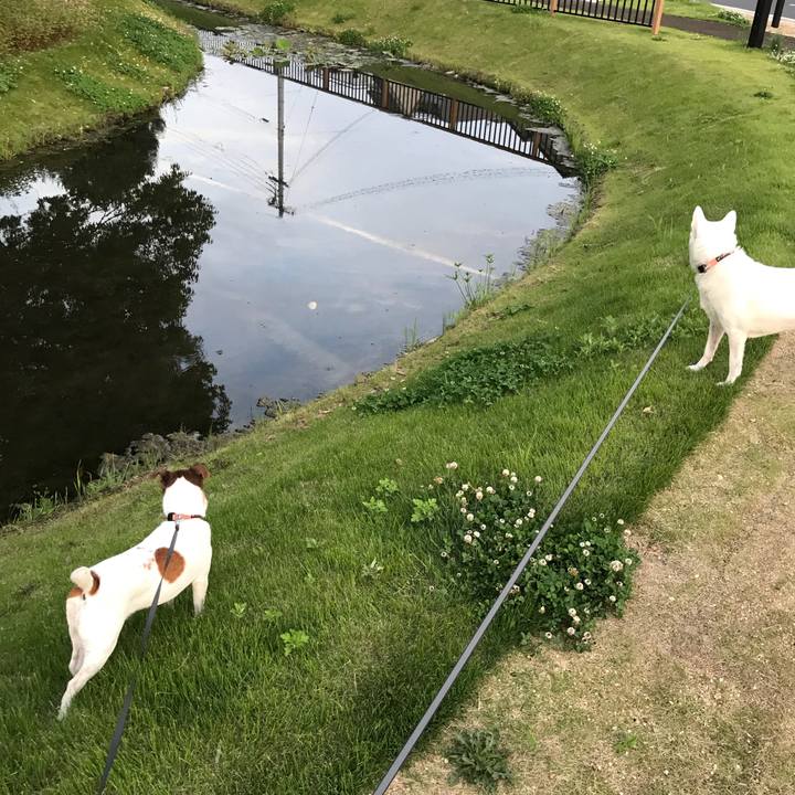 44783bd7 dad1 470e 9dd8 5558d5ba9196 1527452272431